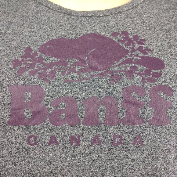 Roots Canada gray Banff National park crew neck pullover t-shirt ladies Small - Picture 3 of 9
